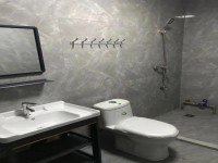 其它图
